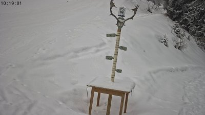 Heutal-Snow Stake