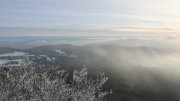 Hochwald-Ost