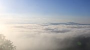 Hochwald-Ost Hochwald-Ost