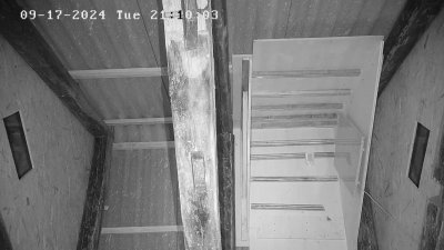 Live Webcam Fledermaushaus Waischenfeld #3