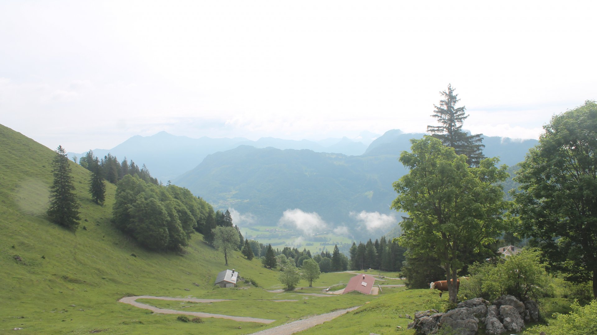 Fotowebcam Wuhrsteinalm